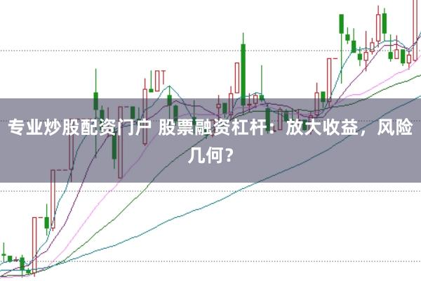 专业炒股配资门户 股票融资杠杆：放大收益，风险几何？
