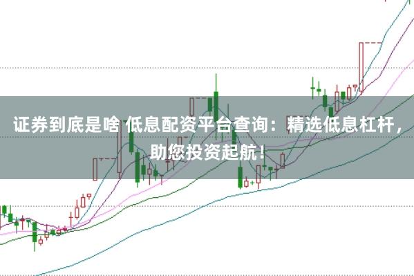 证券到底是啥 低息配资平台查询：精选低息杠杆，助您投资起航！