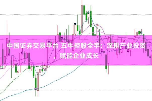 中国证券交易平台 五牛控股全宇：深耕产业投资，赋能企业成长
