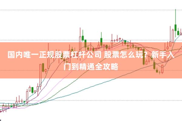 国内唯一正规股票杠杆公司 股票怎么玩？新手入门到精通全攻略