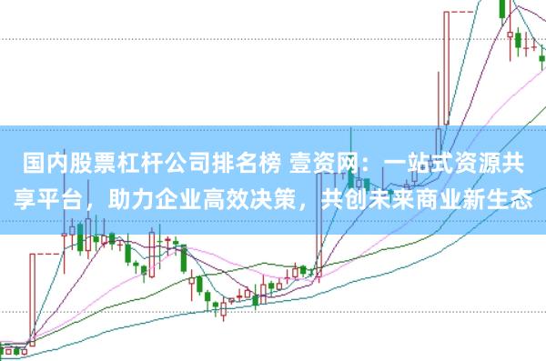 国内股票杠杆公司排名榜 壹资网：一站式资源共享平台，助力企业高效决策，共创未来商业新生态