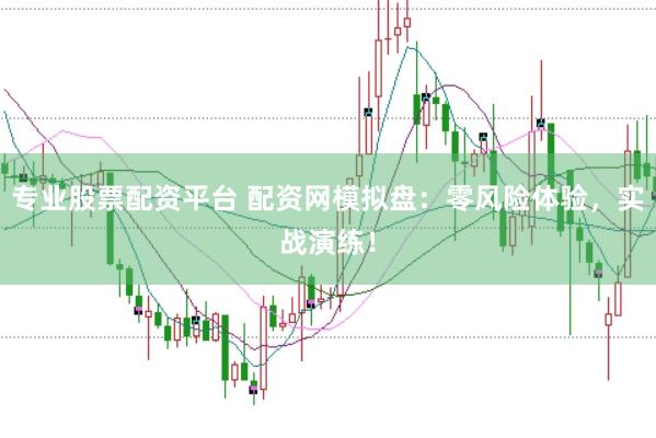 专业股票配资平台 配资网模拟盘：零风险体验，实战演练！