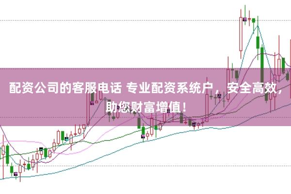 配资公司的客服电话 专业配资系统户，安全高效，助您财富增值！