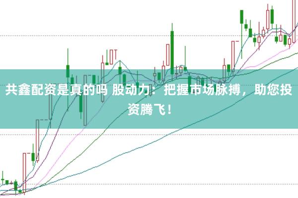 共鑫配资是真的吗 股动力：把握市场脉搏，助您投资腾飞！