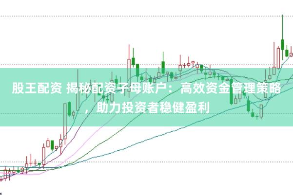 股王配资 揭秘配资子母账户：高效资金管理策略，助力投资者稳健盈利