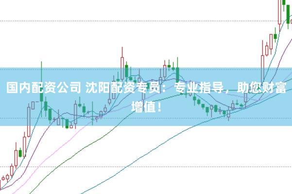 国内配资公司 沈阳配资专员：专业指导，助您财富增值！