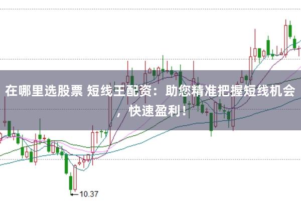 在哪里选股票 短线王配资:助您精准把握短线机会,快速盈利!
