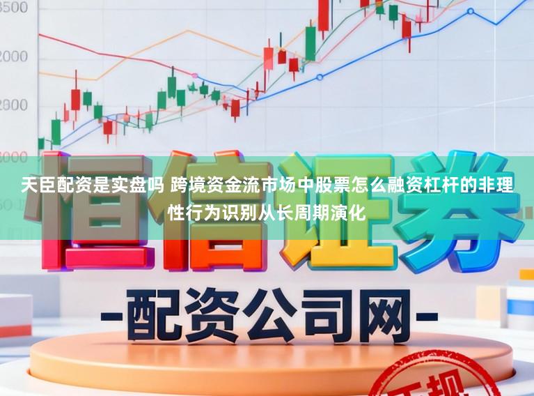 天臣配资是实盘吗 跨境资金流市场中股票怎么融资杠杆的非理性行为识别从长周期演化