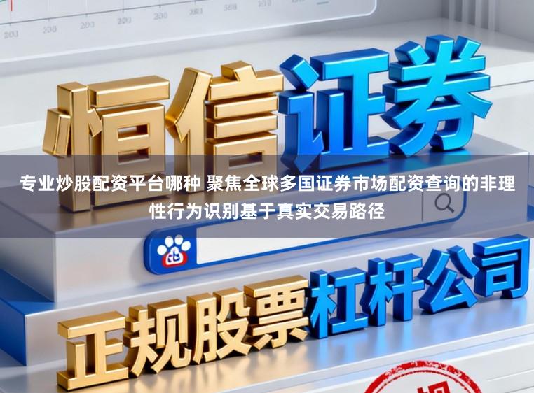 专业炒股配资平台哪种 聚焦全球多国证券市场配资查询的非理性行为识别基于真实交易路径