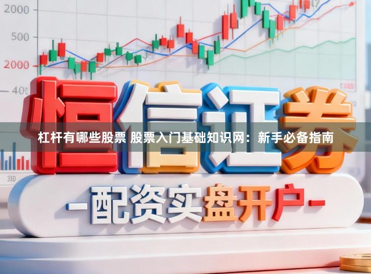 杠杆有哪些股票 股票入门基础知识网：新手必备指南