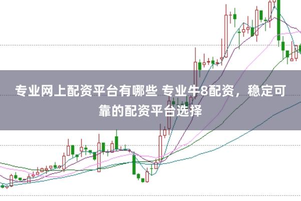 专业网上配资平台有哪些 专业牛8配资，稳定可靠的配资平台选择